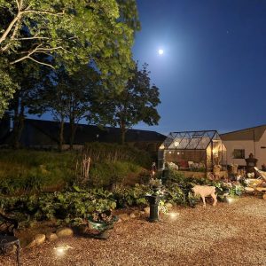 10,5 cm uplight rund sort til nedgravning